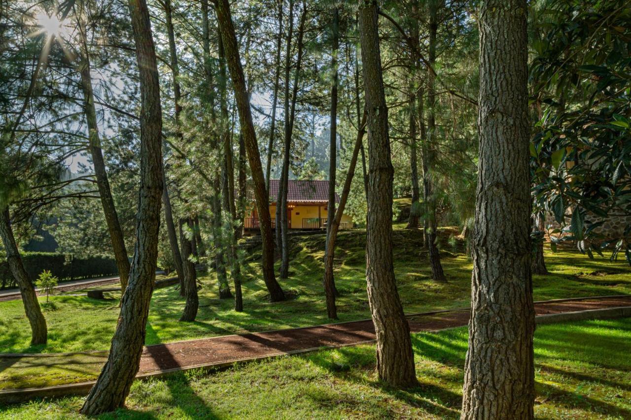 Отель Bosque Escondido Мазамитла Экстерьер фото